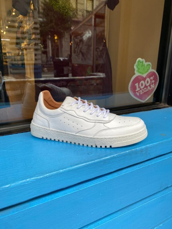 Sam Sneaker in White from Novacas